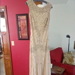 Beautiful Adrianna Papell Dress, Champagne